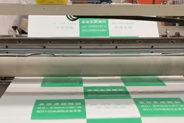 Video31